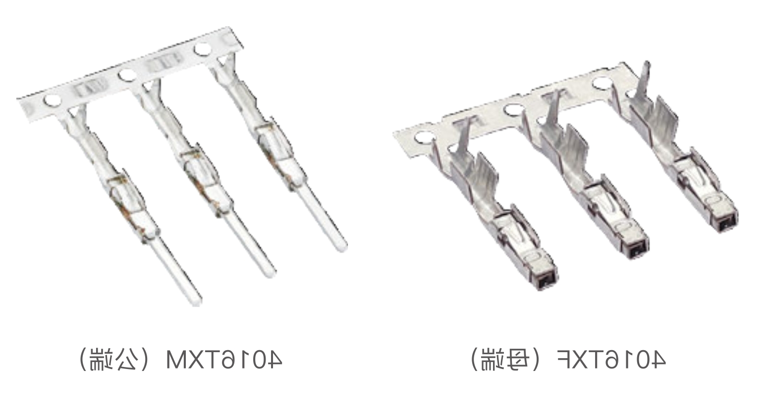TAB 1.2 (4016) 复合端子